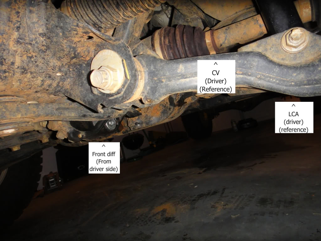 2002 Toyota tacoma rear differential oil