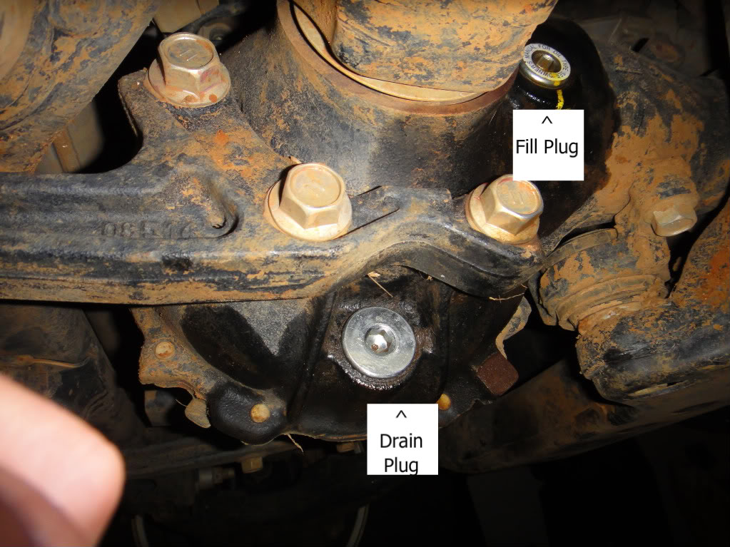 2002 Toyota tacoma differential fluid change