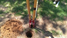 Using the post-hole digger