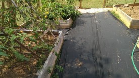 Weed barrier cloth before mulch