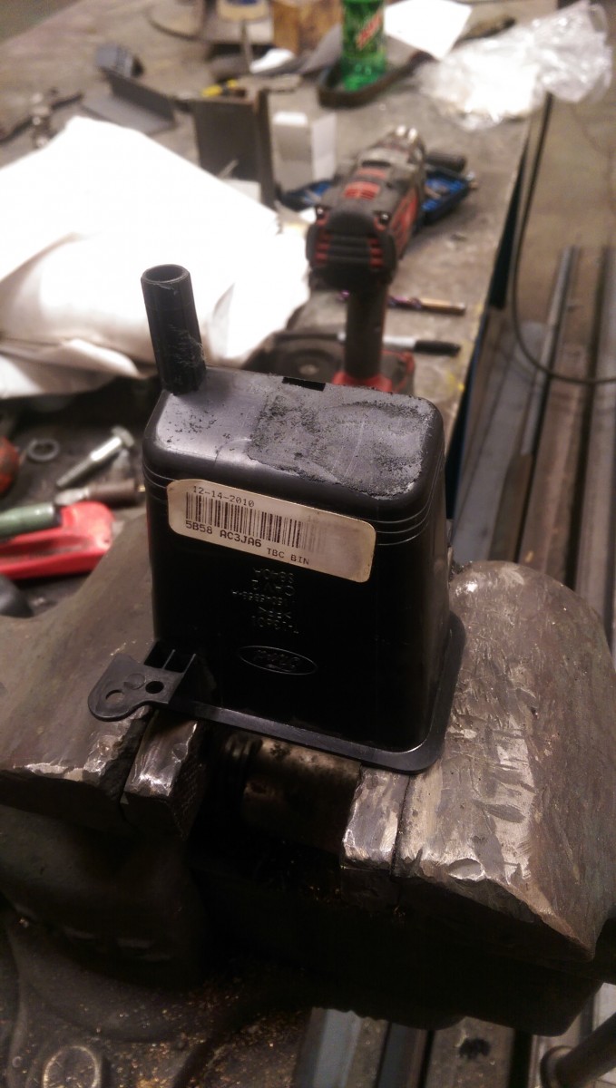 IMAG0648