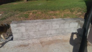 The marks between the bricks dried away eventually