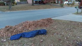 Leaf Pile