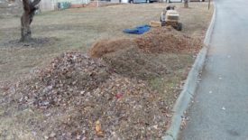 Leaf Pile 2