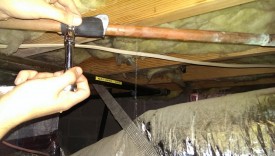 Removing the temporary plug