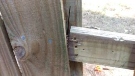 New screws