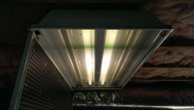 The ballast went out for the outer two bulbs