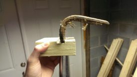 Profile of tool in slot, resting in dado