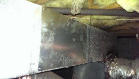 Screwed in and ready for mastic