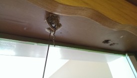 Fishing wire to newly drilled hole for the new fixture