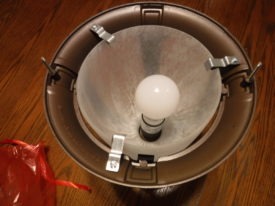 Bulb