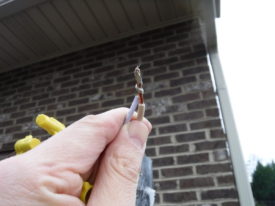 Wires are pretwisted before adding a wire nut