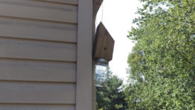 Making a Carpenter Bee Trap