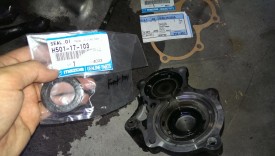 Cover with replacement seal and gasket