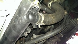 Disconnecting lower radiator hose