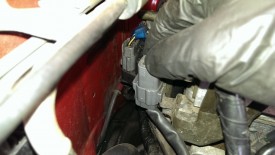 Plug at back of head