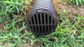 Drain grate