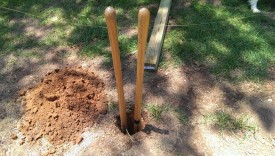 Finished digging - dirt up to tape line