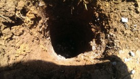 Gravel prevents rot