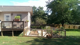 Garden fully completed