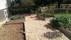 Inside of garden