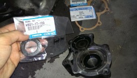 Plate with replacement seal and gasket